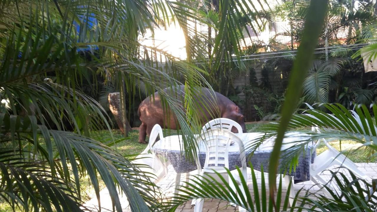 Lake St Lucia Lodge Εξωτερικό φωτογραφία